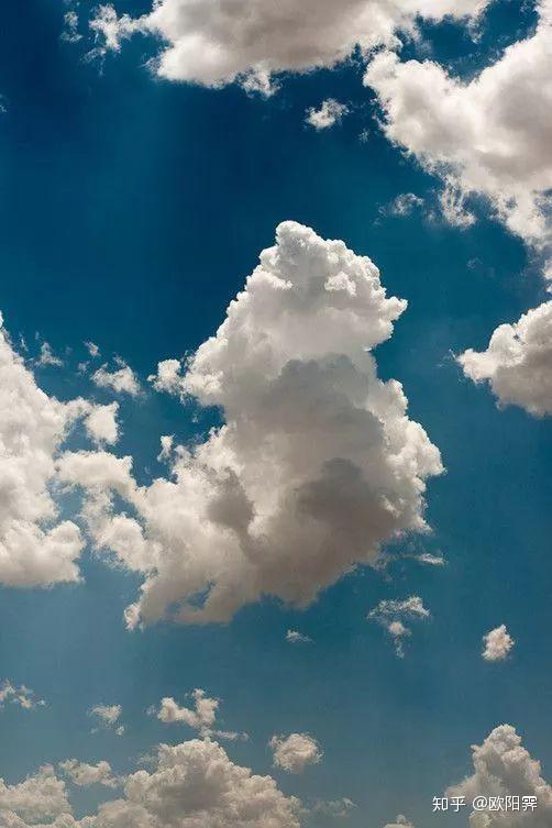 蓝天画是明星,闪耀星光的璀璨明星