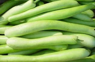 夜开花的瓜怎么吃,揭开神秘果实的美味之谜