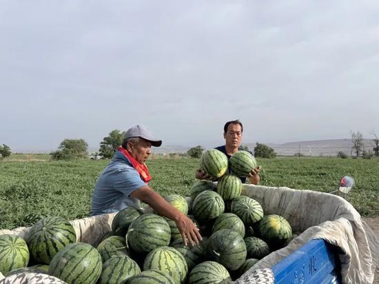 吃瓜年年吃今年瓜特多,吃瓜年盛况空前，今年瓜果飘香引人瞩目