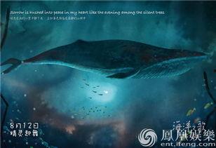 海洋之歌电影在线观看,探寻深海秘境的奇幻之旅