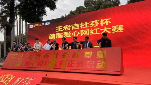 大冶网红助力脱贫,助力脱贫攻坚，共绘乡村振兴新画卷