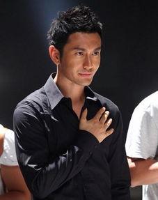 黑帅的男明星,揭秘男明星的独特风采