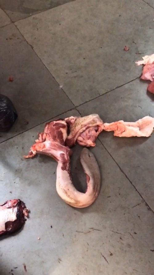 今日头条印度牛肉价格,市场动态解析与影响解读