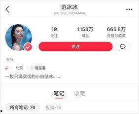 自带流量的网红叫什么,揭秘自带光环的网红魅力