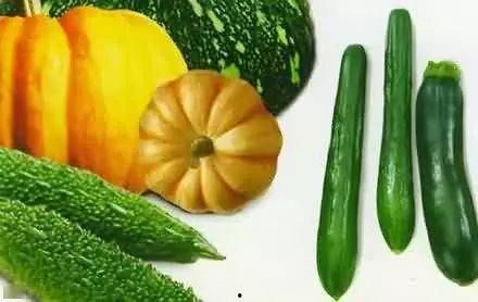 坟地吃瓜,揭秘神秘坟地里的吃瓜传奇