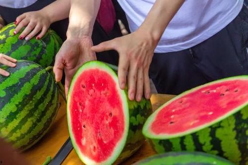 扬州大学疫情吃瓜,吃瓜群众视角下的校园风云