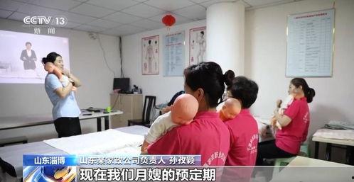 今日头条家政收入如何,今日头条数据揭示家政服务新趋势