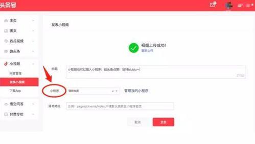 头条小程序打开设置在哪,nn【我的】 -> 【设置】 -> 【个人资料】 -> 【简介】 -> 输入或编辑副标题nn结果示例：n探索科技前沿，解码未来生活