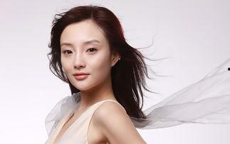 国内明星下载,揭秘粉丝追星背后的故事