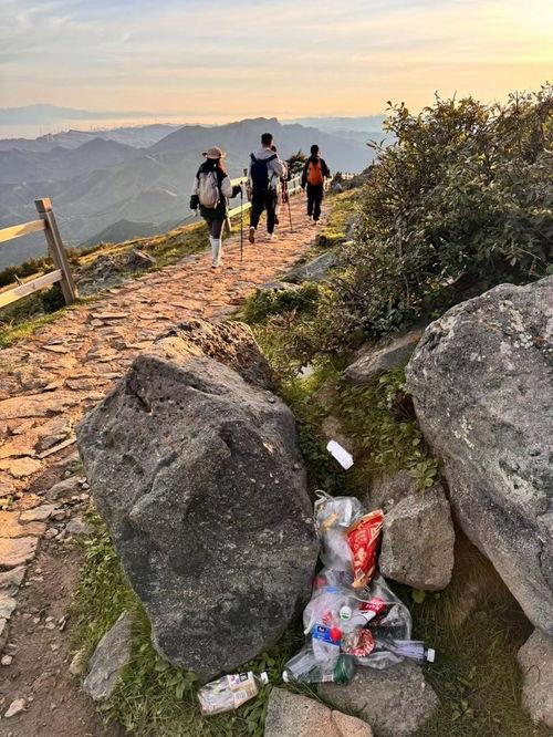 广西灵山网红施某某,从田间地头到网络红人的蜕变之路