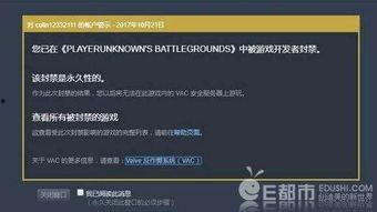 锤哥其他爆料视频,独家爆料背后的精彩故事