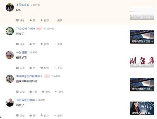 头条专栏收益指南,揭秘高效变现之道