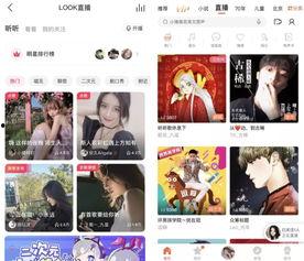 头条直播打赏怎么查看,头条直播打赏查看攻略