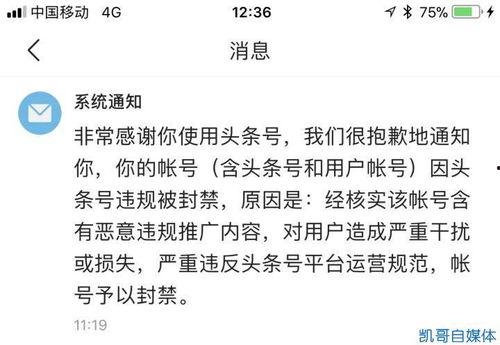 头条号被封如何提现