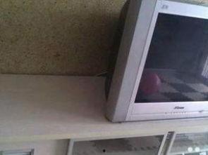 网红苹果怎么那么便宜啊