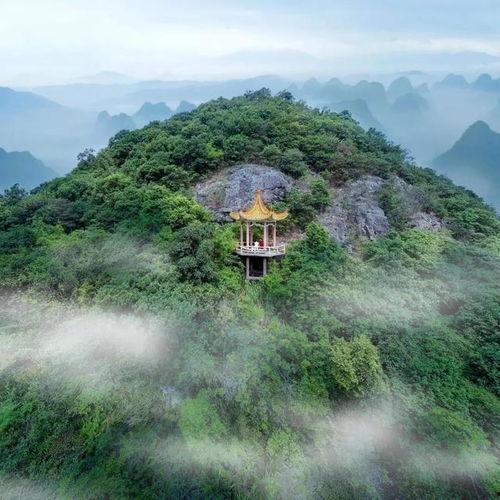 直播网红本山头像,笑对人生，演绎欢乐传奇