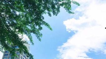 公园长椅吃瓜最新章节免费阅读,揭秘都市生活百态