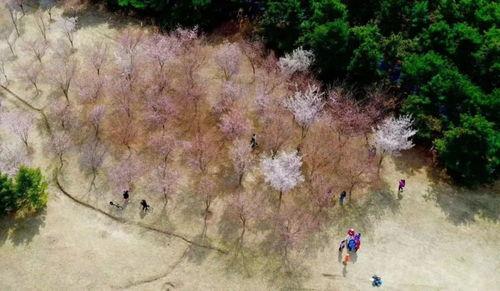 网红阶梯河,网红打卡地，自然奇观与人文情怀的完美融合