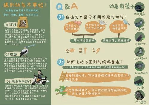 吃瓜大赛宣传词语