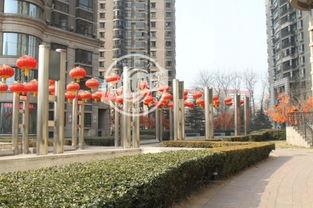 北京明星园,都市绿洲中的明星汇聚之地