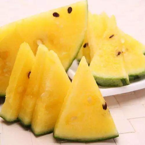 哪里有好的瓜吃