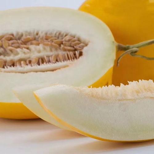 怎么吃黑蜜瓜好吃,尽享夏日甜蜜滋味