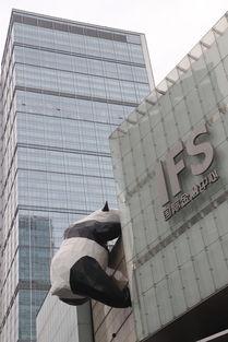 雅安荥经网红店,雅安美食新地标，探寻川蜀风味传奇