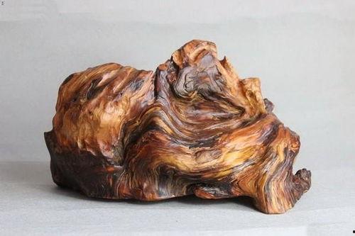 川料崖柏怎么看真假图片,图片识别攻略