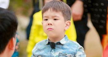 小孩子怎么才能当明星,培养与启航指南