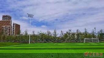 山日照打卡网红,网红打卡地的魅力之旅