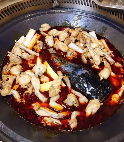 爆料铁锅炖大鹅视频下载