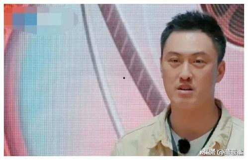 我在娱乐圈靠吃瓜爆红,娱乐圈爆红传奇