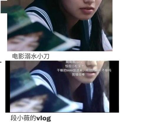 娱乐圈综艺文吃瓜文